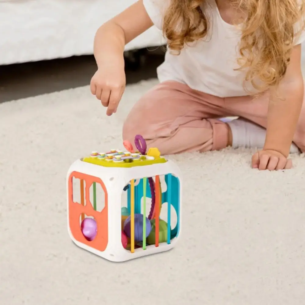 Colorful Blocks Activity Cube Sorting Game Shape Sorter Learning Motor Training Sensory Development Montessori Birth Gift