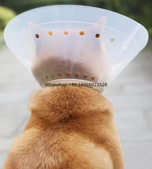 Pet Anti-bite Collar Cat Wound Healing Cone Neck Protection Cover Elizabethan Circle for Kitten Puppy Dog Post-operative Care