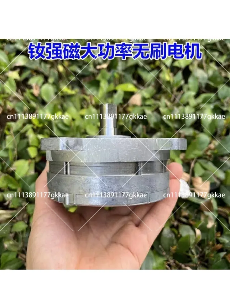 12V 24V 36V 40V 550W High Torque Brushless Motor, Neodymium Strong Magnetic, Mechanical Power for Lawn Mower