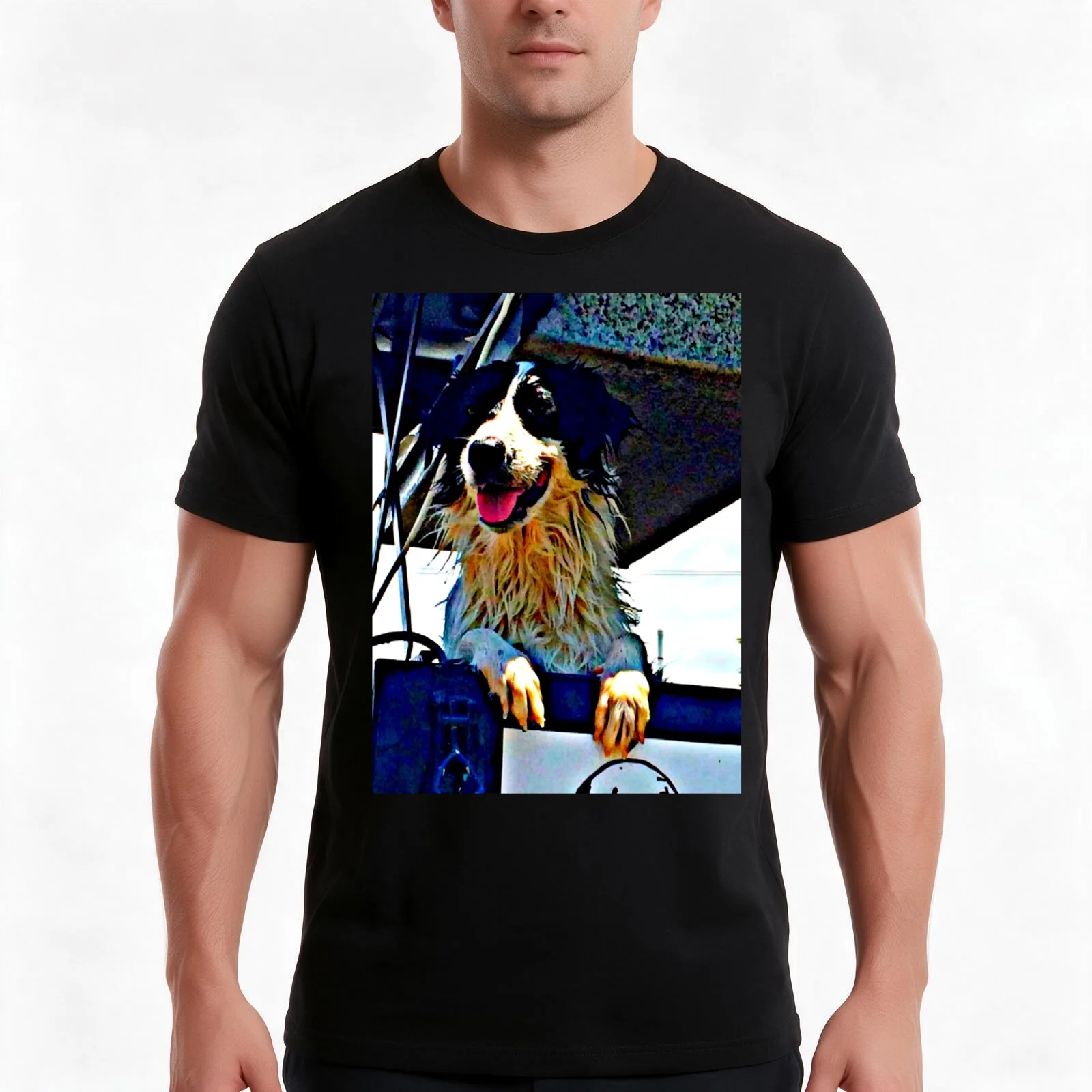 Border Collie, Lucy. Just had a wash. Photo T-Shirt, Summer Casual Cotton Tee, Oversized Streetwear Tops, Vintage Graphic Print