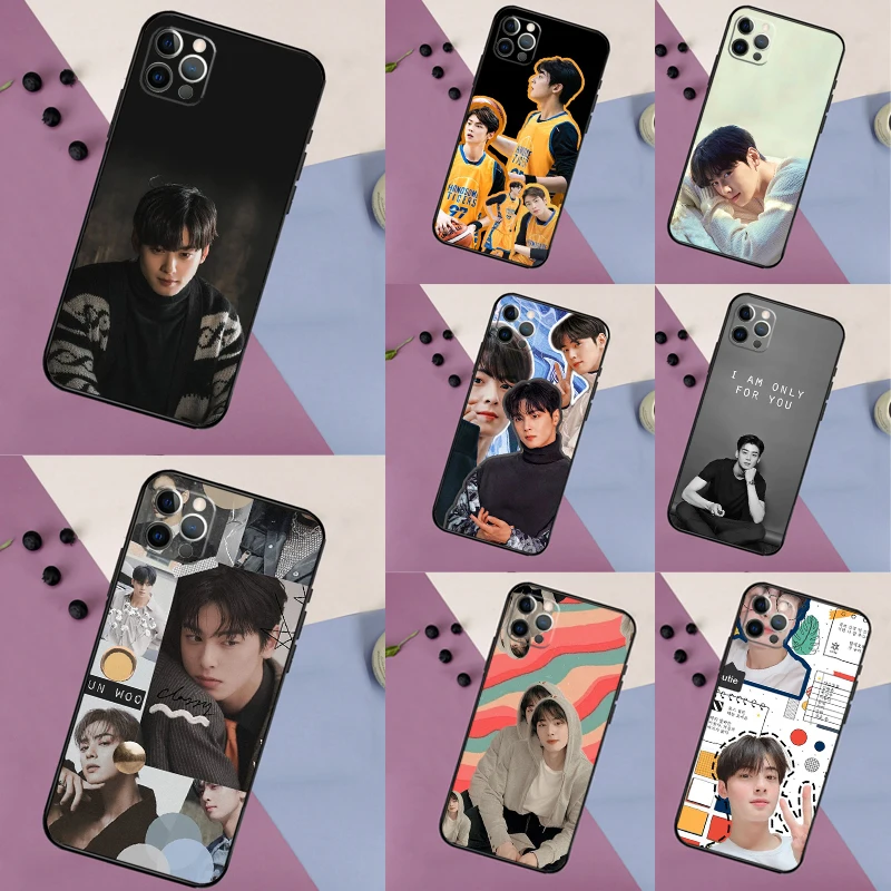 Cha Eun Woo Korean … - image