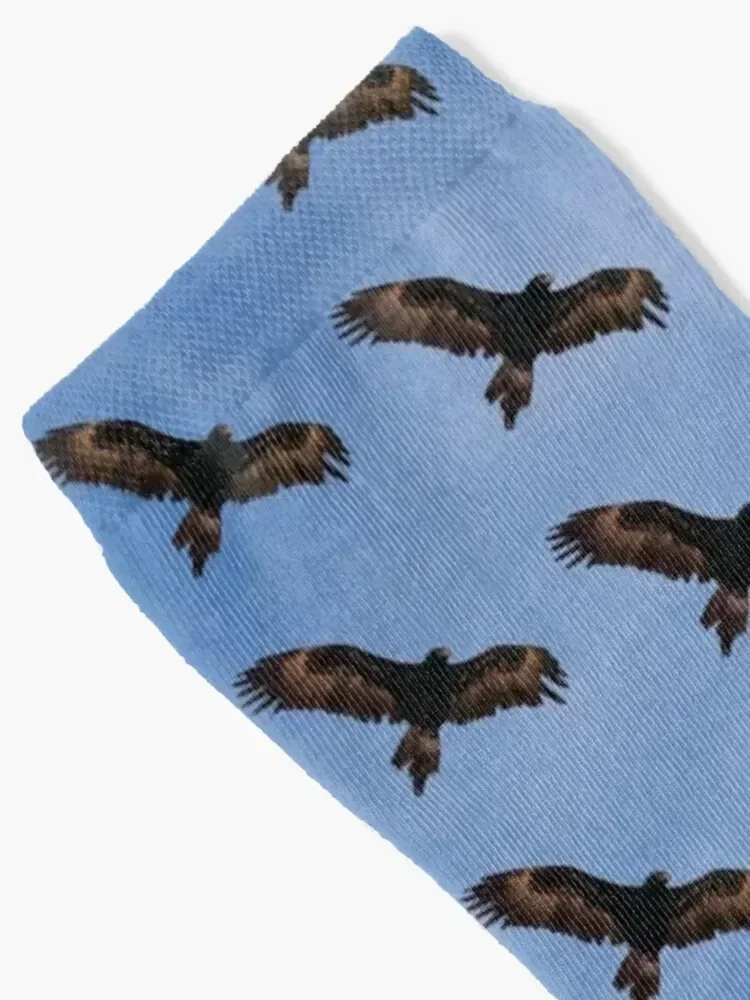 Wedge-tailed Eagle 4 Socks luxe Children's Socks Woman Men's