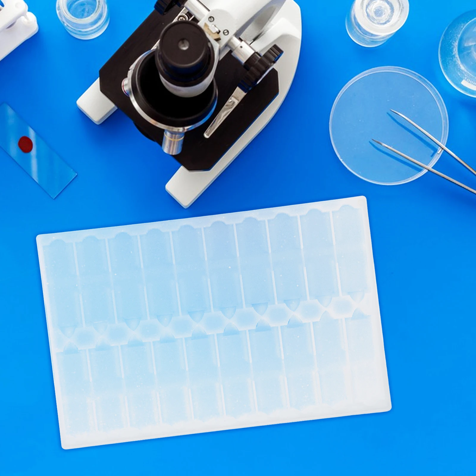 

4 Pcs Tray Slide Plate Plastic Microscope Specimen Collection Glass Storage Trays Slides for Child