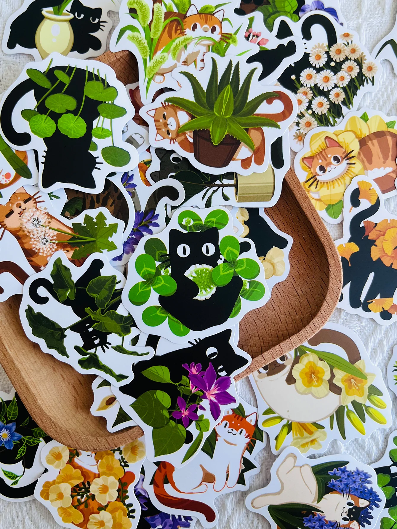 50-Piece Set of Cat-Themed Plant Stickers: Creative DIY Stickers for Scrapbooks, Laptops, Suitcases, Guitars, and Water Bottles