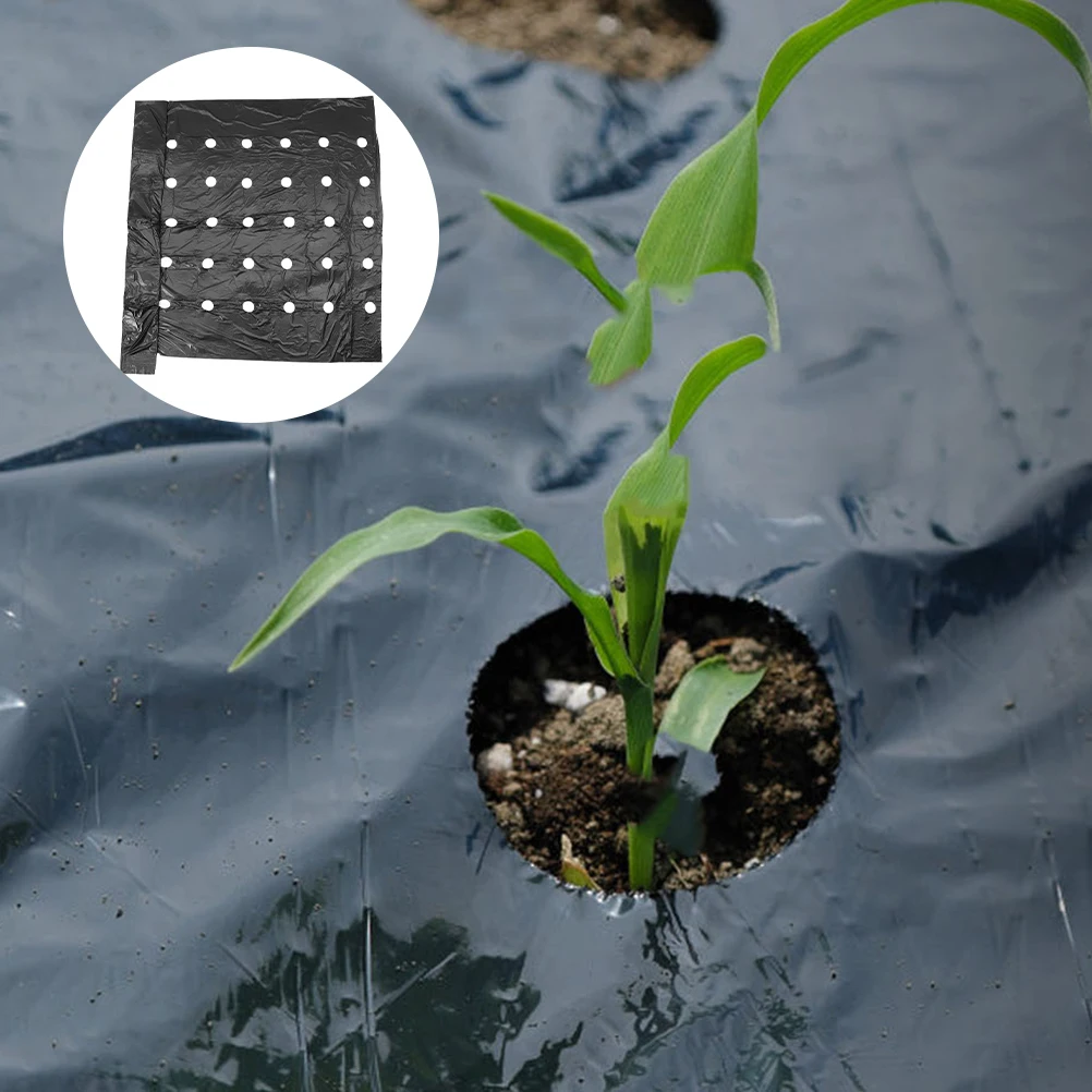 

2pcs Pe Mulching Film Thermal Insulation Perforated Crop Soil Agricultural Film Durable Plastic Cover