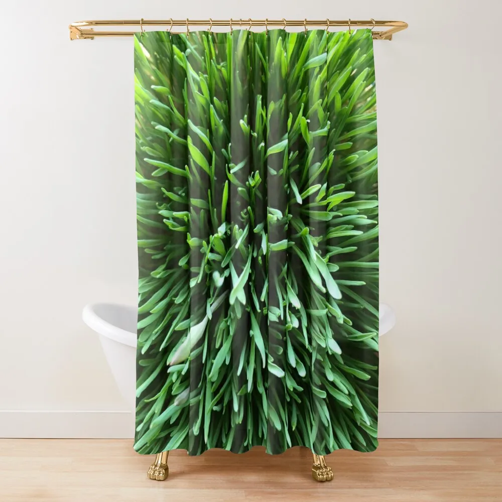 

Green Grass Close-Up (Sabze) Shower Curtain For Bathrooms Accessories For Shower And Services Waterproof Shower Curtain