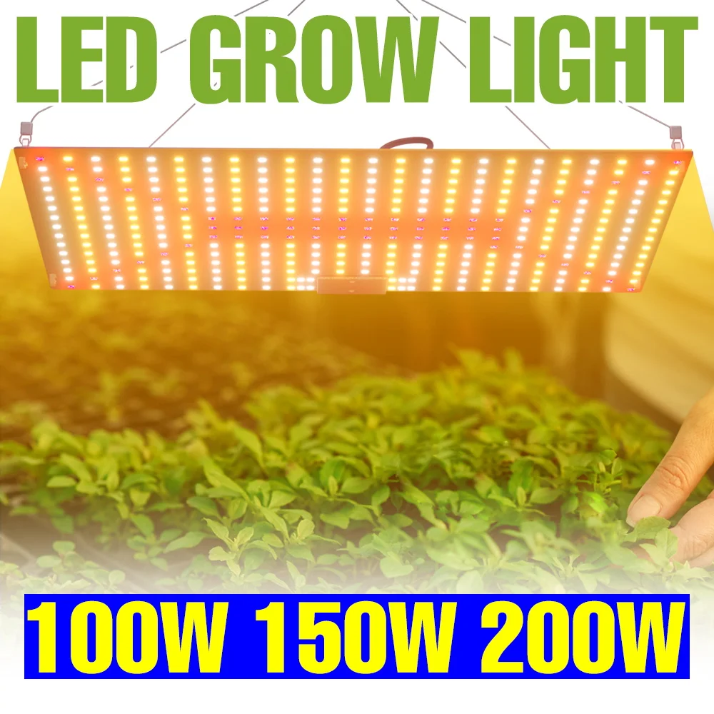 

200W LED Full Spectrum Grow Lamp Indoor Quantum Board Plant Fill Light Greenhouse Tent Hydroponic Cactus Cultivation Lighting