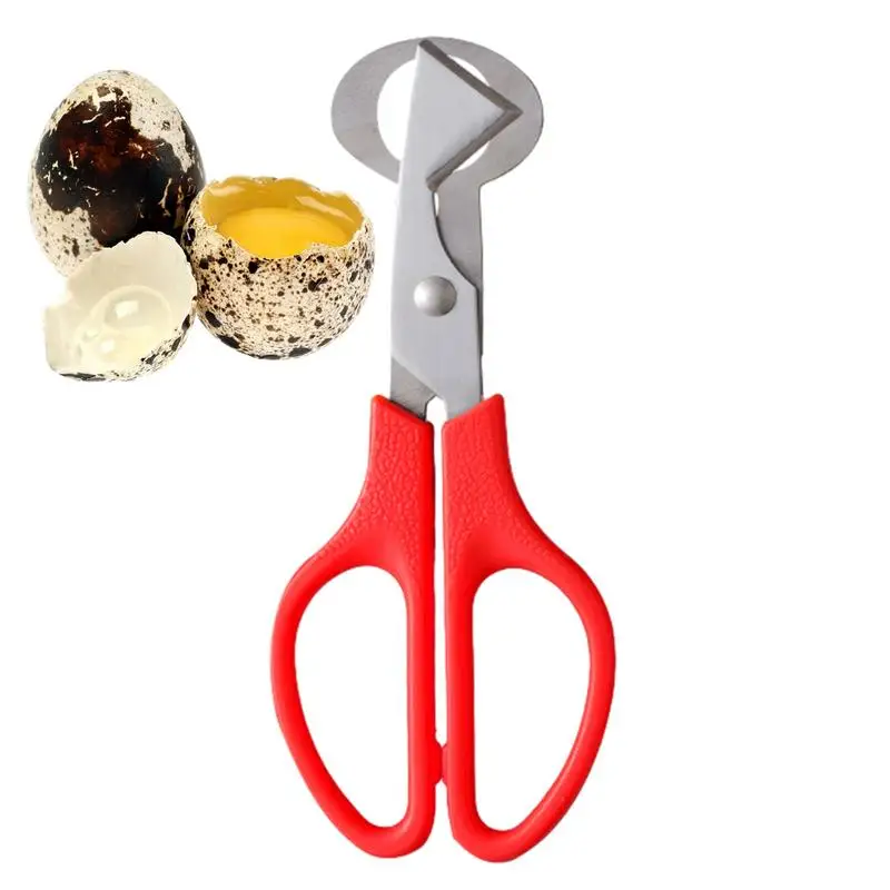 Aço inoxidável Codorna Egg Peeler Machine, Confortável Handle Cutter Tool, Abridor de Shell, Suprimentos de cozinha, Scissor