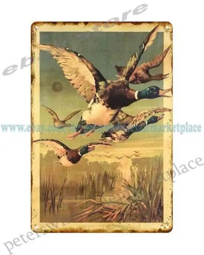 1888 MIAMI POWDER CO flying mallard duck ammo hunting wild life metal tin sign