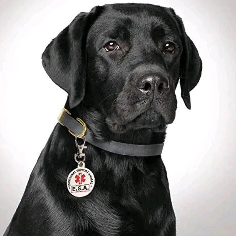 ESA Support Keychain Service Dog Tag Emotional Support Animal with Red Medical Alert Symbol 1inch Switch to Collars and Vest Cat