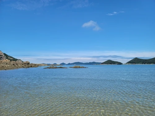 리뷰 사진