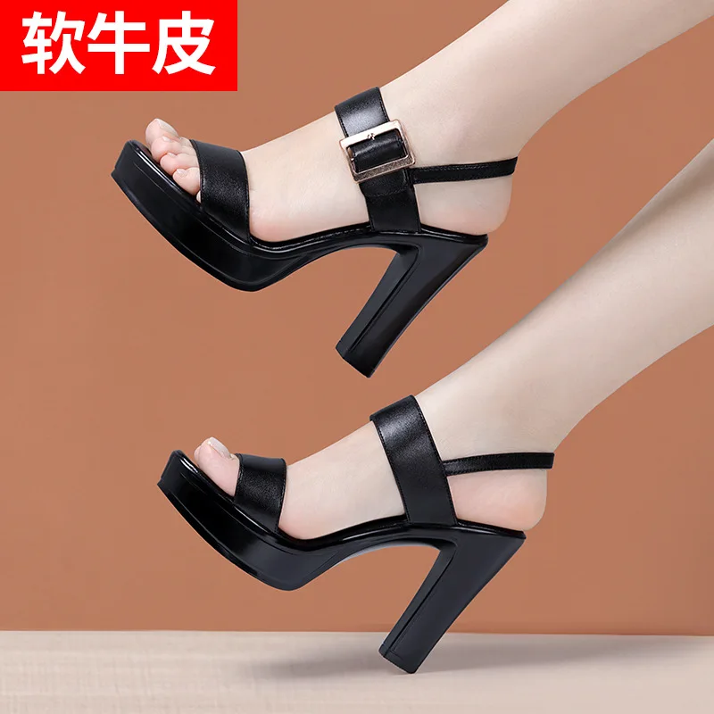 2024 Luxury Genuine Leather Women Sandals Sexy 10cm High Heels Wedding Bride Shoes Party Platform Open Toe Shoes Ladies Pumps