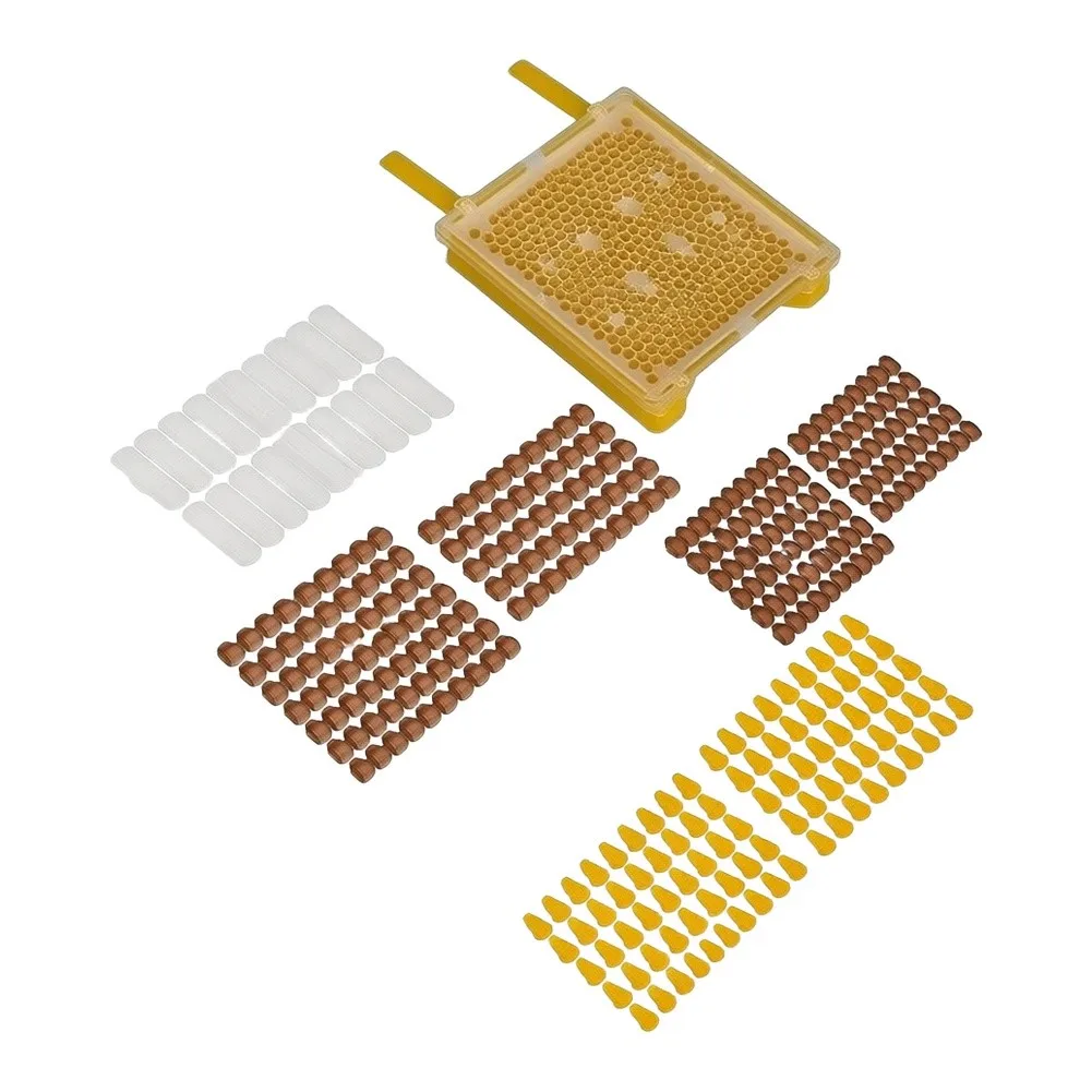 PP Material Queen Rearing Kit for Beekeepers Featuring Transfer Box Queen Cells Holders and Full Accessories Set