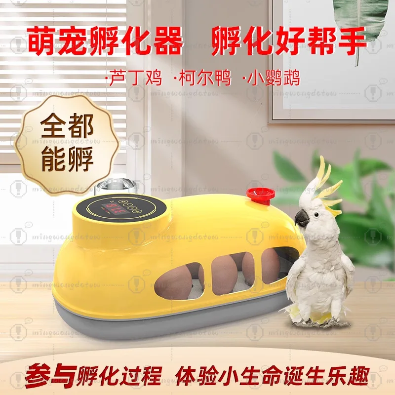 Small Household Intelligent Mini Egg Incubator for Chicken & Chicks