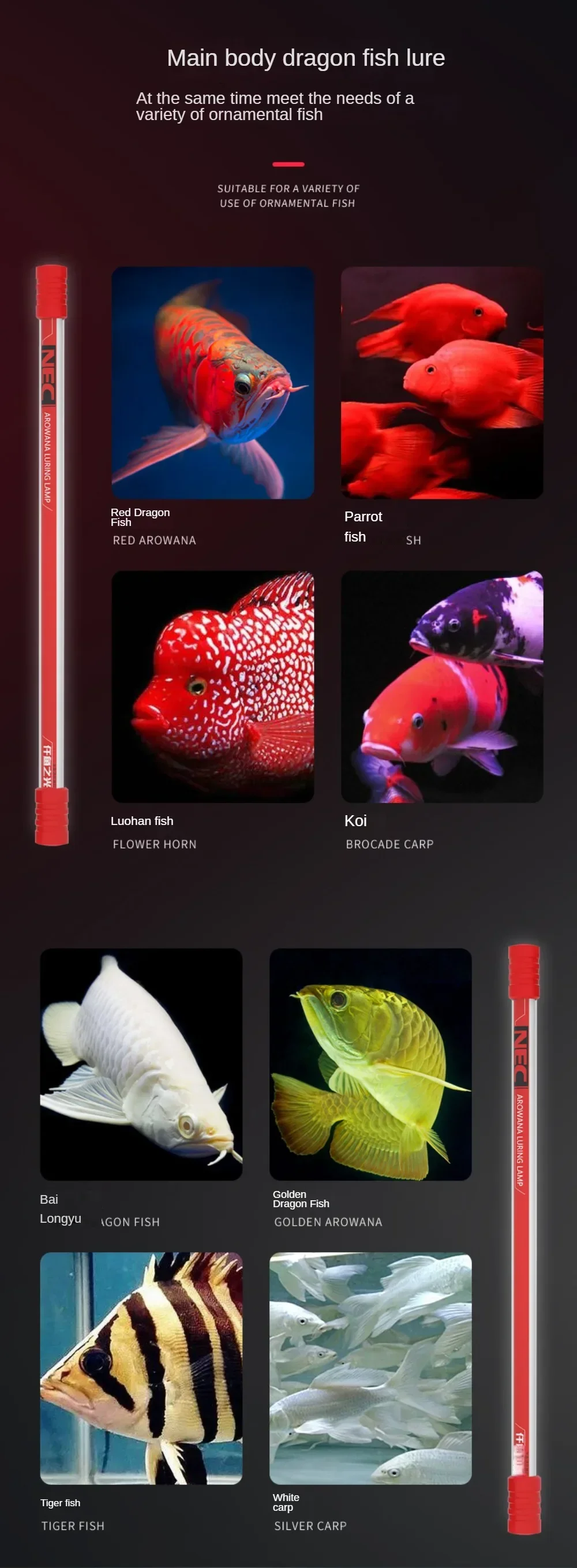 

Arowana Aquarium Fish Tank Light Diving Golden Red Dragon Special Waterproof T8 Three-Base Brightening Hair Color Lamp 98-158CM