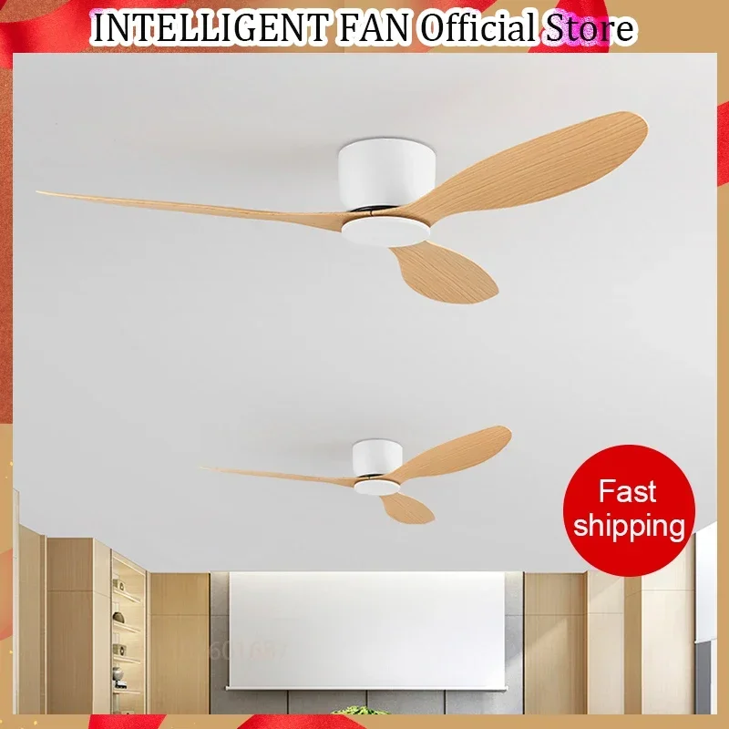 Modern Led Ceiling Fan Without Lights DC Motor 6 Speeds Timing Fans 22CM Low Floor Loft Remote Control Lux&vitae Fan With Lights