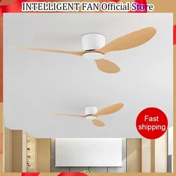 Ventilatore da soffitto moderno a LED senza luci Motore DC Ventole temporizzate a 6 velocità Ventilatore Lux&vitae con telecomando da pavimento basso da 22 cm con luci