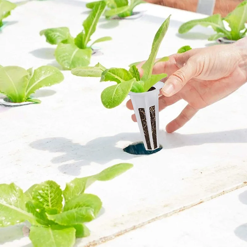 Garden Vegetables Growing Sponge Starter Pods Soilless Culture Growing Seed Pods Plant Hydroponics Growing Seeding Nursery Pots