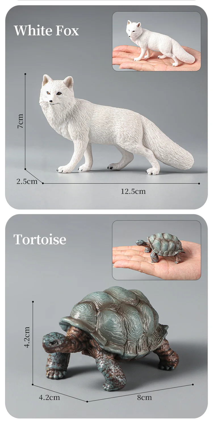 Montessori Wildtiere Modell Spielzeug Set – Löwe Elefant Antilope Actionfiguren Miniatur Zoo Figuren Pädagogisches Geschenk für Kinder – Detail 13