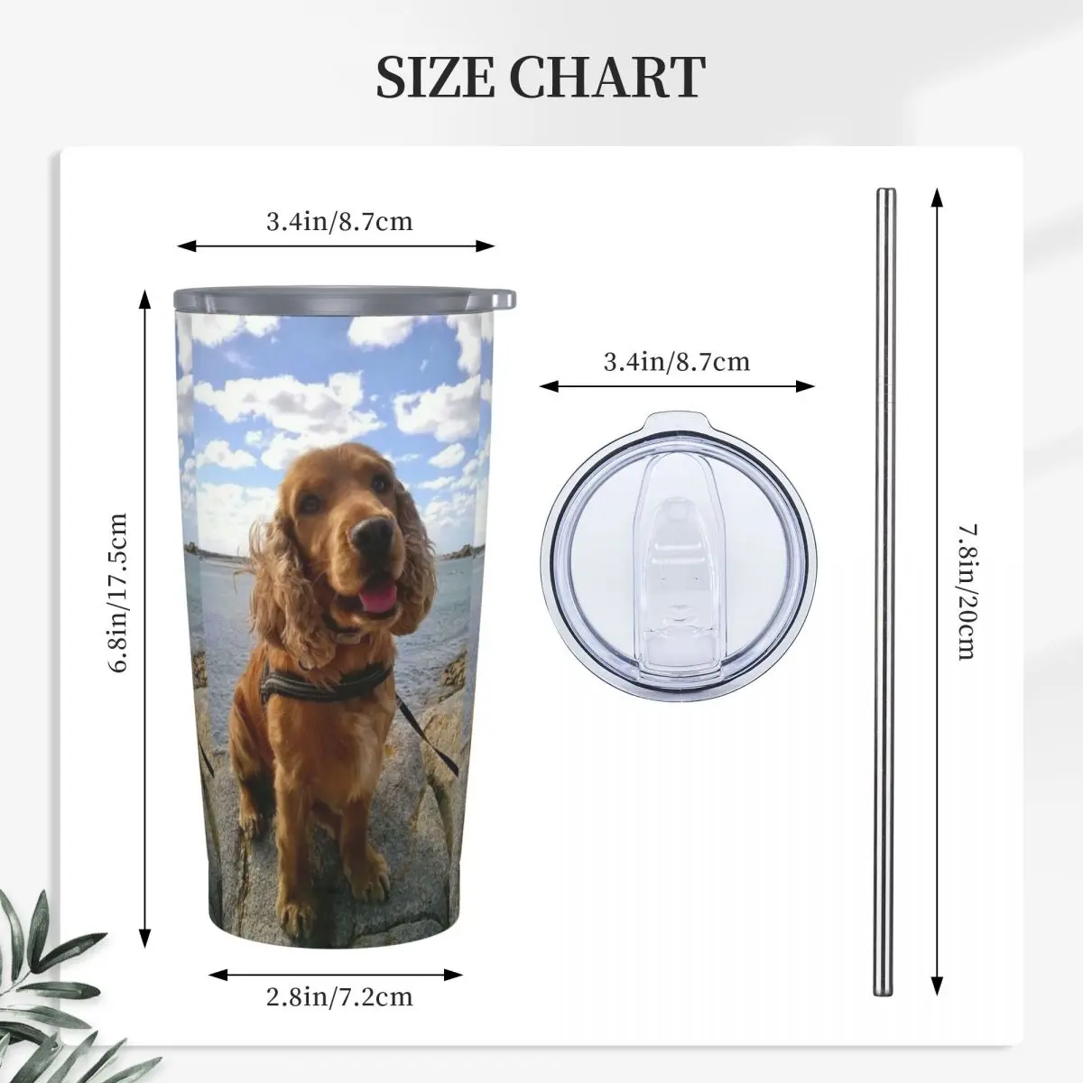 Funny Cool Cocker Spaniel Dog Animal Stainless Steel Tumbler Vacuum Insulated Mug Thermal Cold Bottle Straws With Lid 20oz