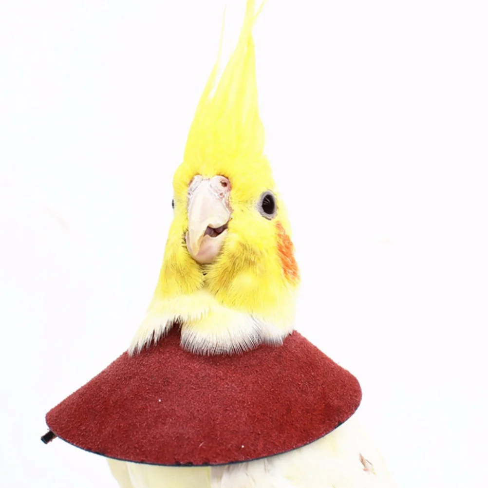 

2Pcs Anti-Bite Collar for Birds Lightweight Bird Recovery Neck Collar Protection Parrot Surgery Healing Support