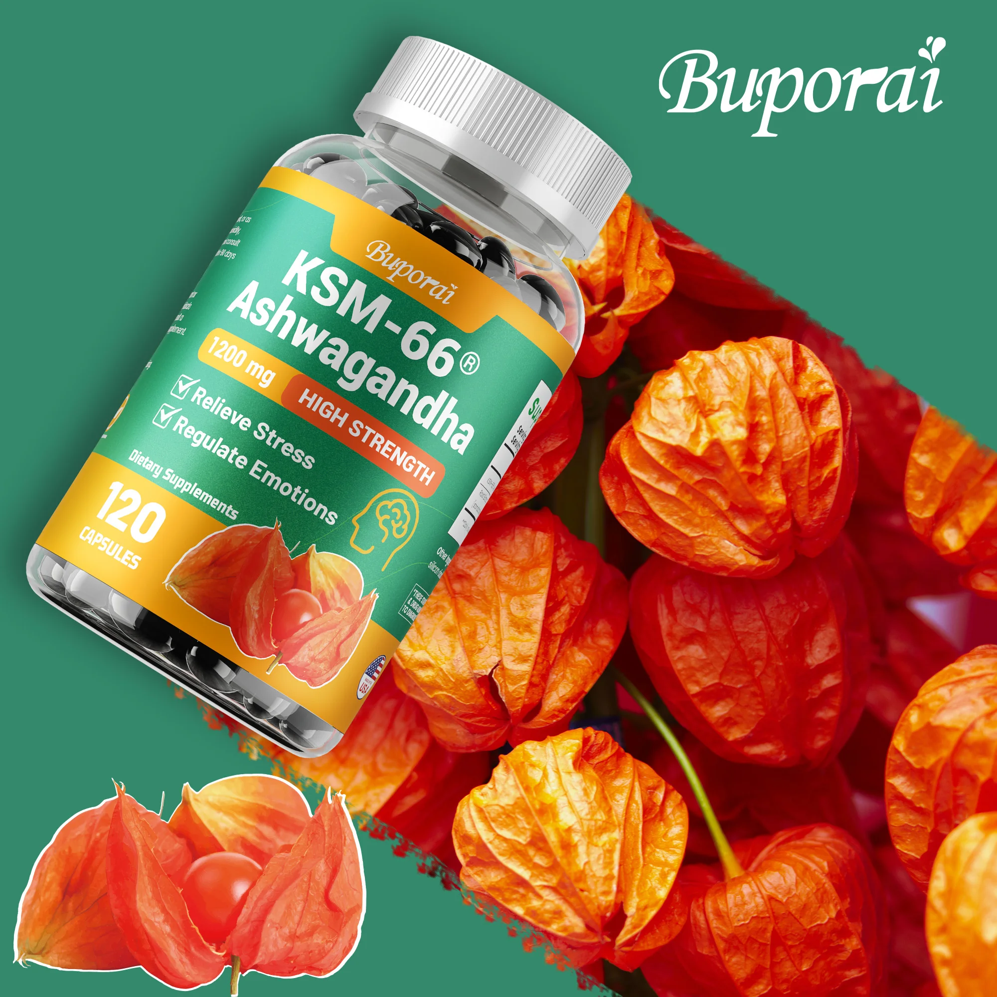 

KSM-66 Ashwagandha — уменьшает стресс, регулирует эмоции, улучшает сон, поддерживает здоровье мозга, повышает энергию, повышает иммунитет