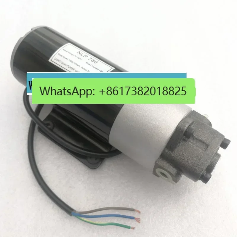 DC 12V/24V AC 220V Small DC Gear Oil Pump Refueling Machine