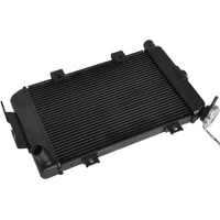 Piezas de motor de motocicleta, radiador de tanque enfriador de agua para CFMOTO CF400NK CF650NK CF 400NK 650NK A000- 180100   2011-2021