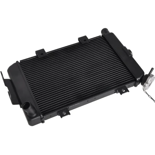 Piezas de motor de motocicleta, radiador de tanque enfriador de agua para CFMOTO CF400NK CF650NK CF 400NK 650NK A000- 180100   2011-2021