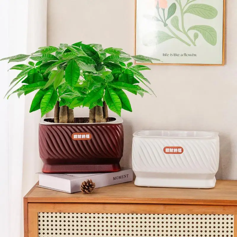 

Самополивающийся цветочный горшок, пластиковые горшки для растений, самополивающийся кашпо, ваза для домашнего декора