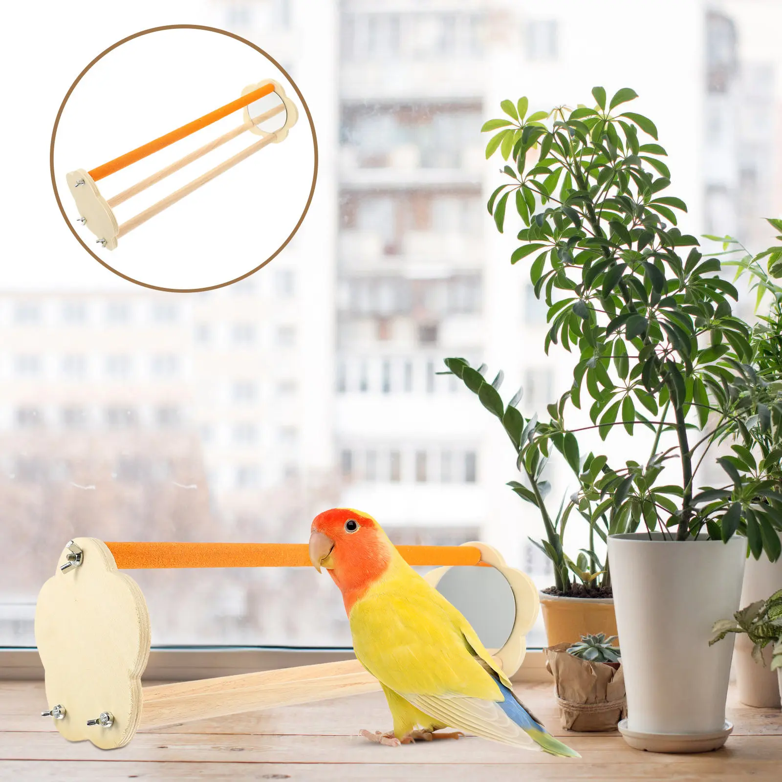 Wooden Parrot Stand Tabletop Bird Training Perch with Mirror Natural Indoor Chicken Perch Accessory