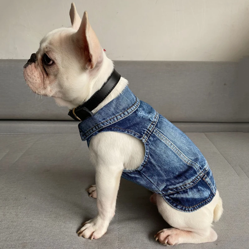 Dog Denim Jacket for Small Medium Dogs Spring Autumn Dog Clothes Classic Jeans Lapel Vest Chihuahua Yorkie Bulldog Pet Apparel