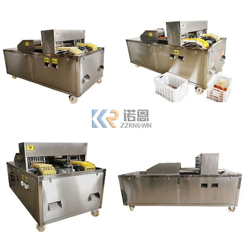 Neue Design Industrielle Pflaume Kern Pitting Maschine Elektrische Pflaume Kern Entferner Obst Kernel Entfernen Maschinen