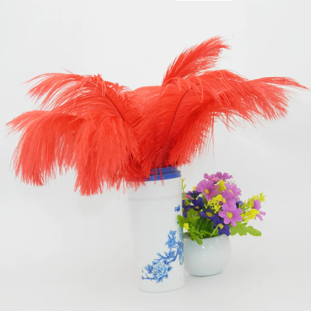 

10Pcs Natural Ostrich Processed Fumigation for Wedding Party Decorations Home DIY Crafts Ostrich