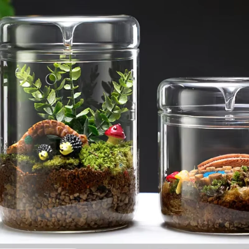 

New Glass Terrarium Succulent Moss Garden in Bottle Creative Home Decor for Tabletop Office DIY Micro Landscape Vase Decoration