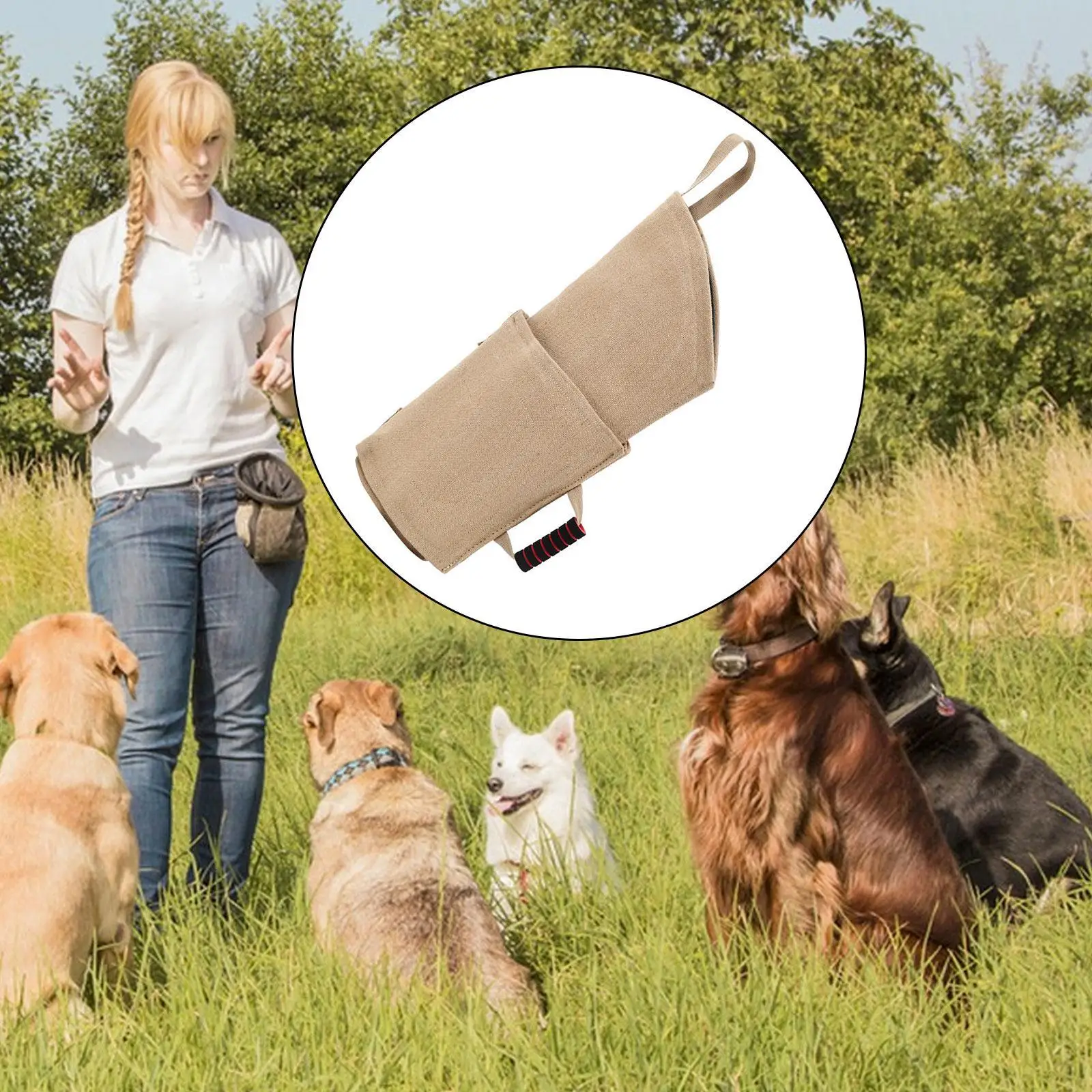 Dog Bite Sleeve Training Equipment for Playing Medium Large Dogs Interactive