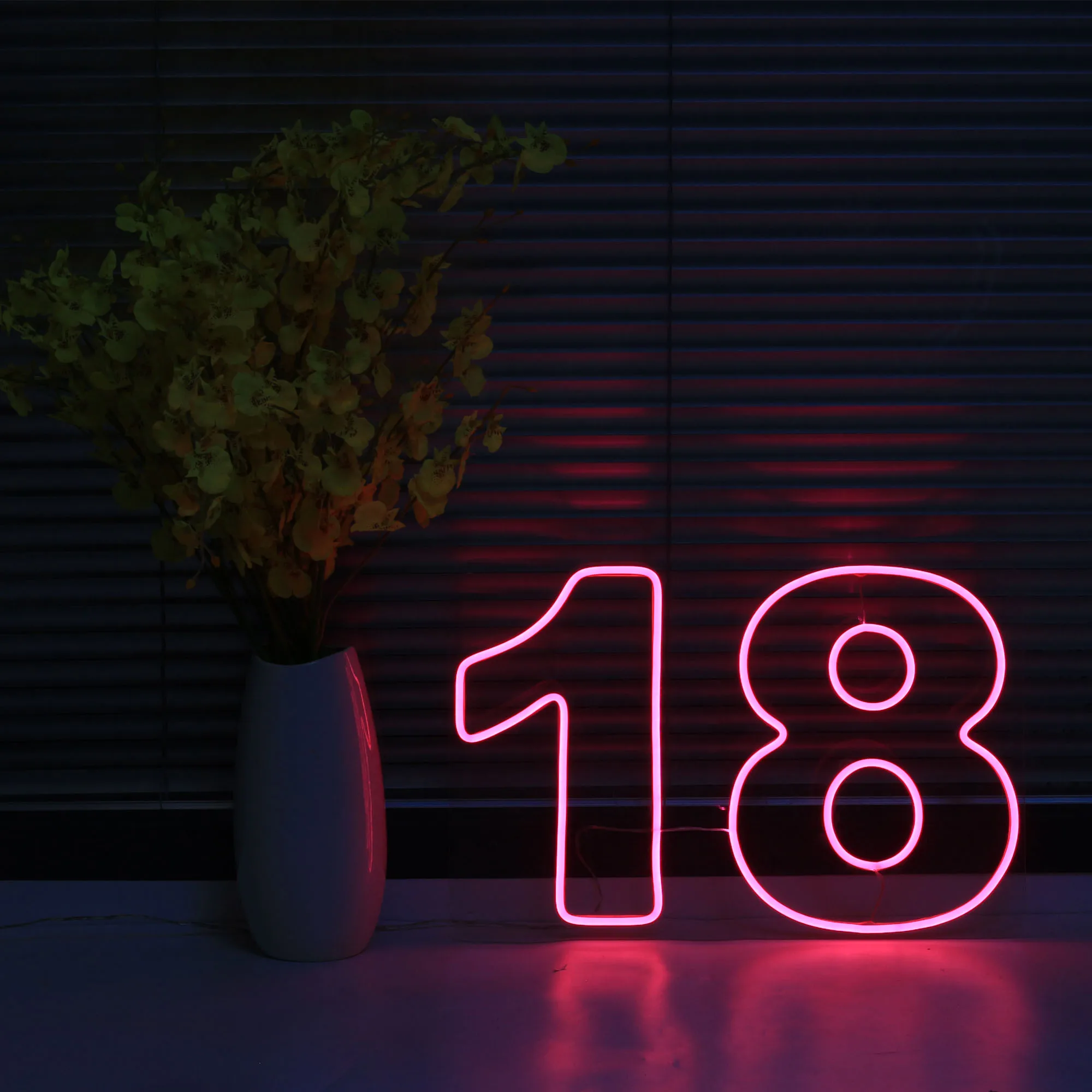 LED Neon Light Sign Number 18 Neon Wall Letters Lights Night Lamp for Room Holiday Party Decor Birthday Christmas Gift Signs