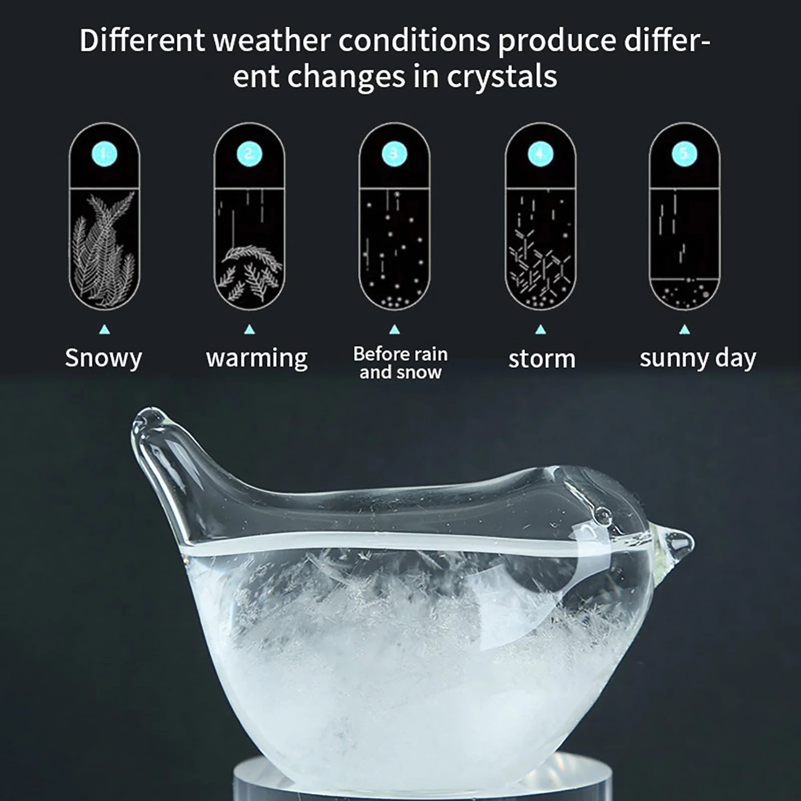 Storm Glass Bottle Barometer Bottles Weather Forecast Stylish Desktop Home Decor Water Drop Weather Station Valentine'S Day Gift