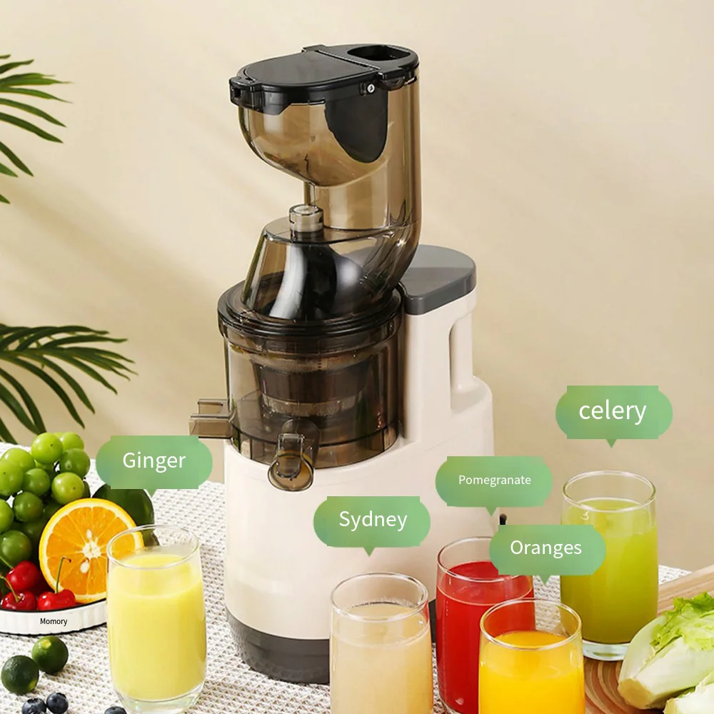 110V 220V Electric Juicer Machine Portable Blender For Kitchen Home 500W Juice Mixers Fruit Food Extractor Orange Maker 믹서기 착즙기