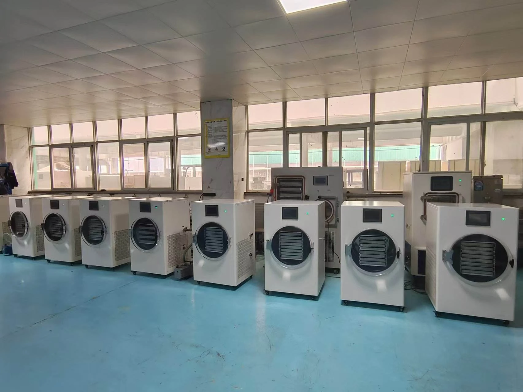 3kg 6kg 10kg 20kg Fruit Liofilizador Machine Competitive Price Automatic Vacuum Freeze Drying Equipment Home Use Food Qiandie