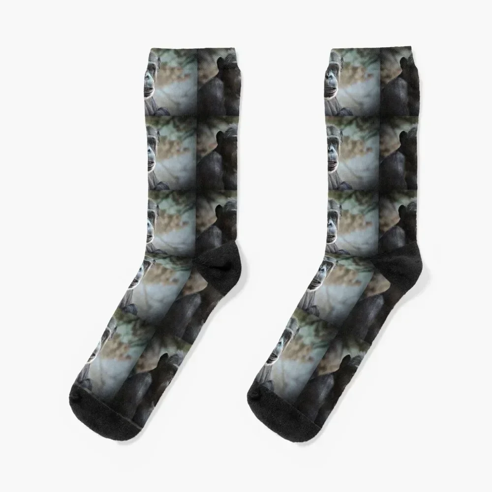 Chimp portrait Socks Stockings floor Boy Child Socks Women's