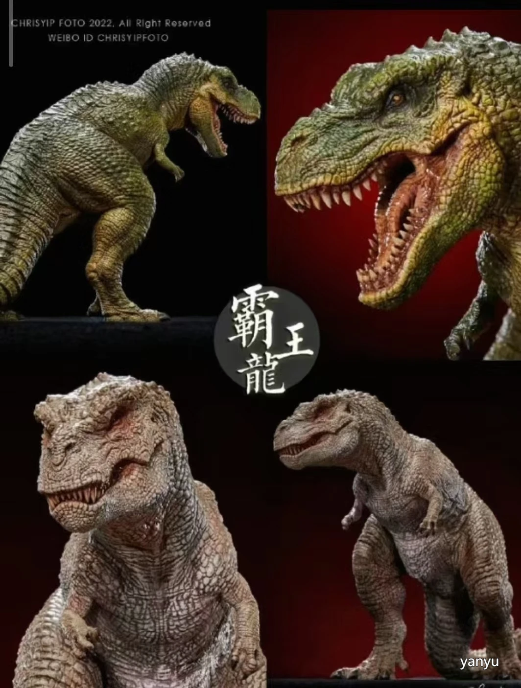 

Retro Tyrannosaurus Rex Classical Restoration Tyrannosaurus Rex Model 1/20 Tyrannosaurus Rex Model