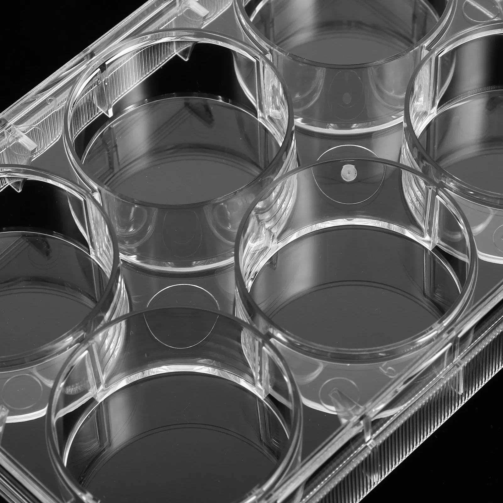 

Disposable Cell Culture Plate Polystyrene Clear Lab Tissue Plate Sterile Flat Bottom for Cell Growth with Lid