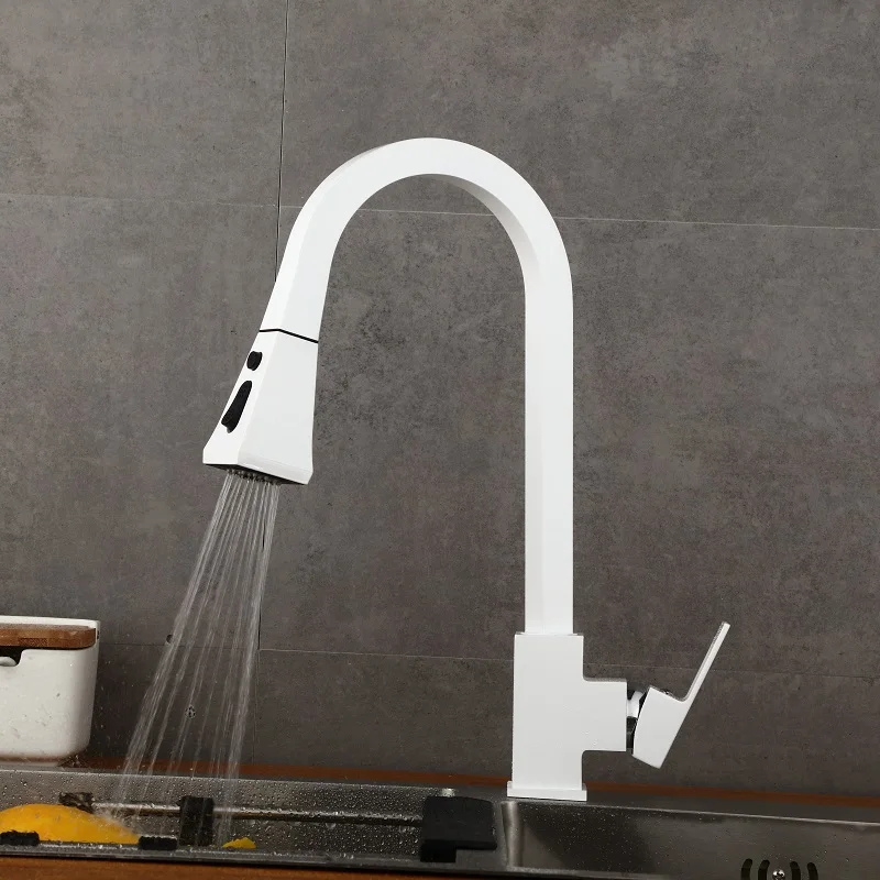 탭 흑백 주방 수전 접시 대야, 온냉 풀아웃 회전 가정용 샤워헤드 싱크대 대야 수전, 모든 구리