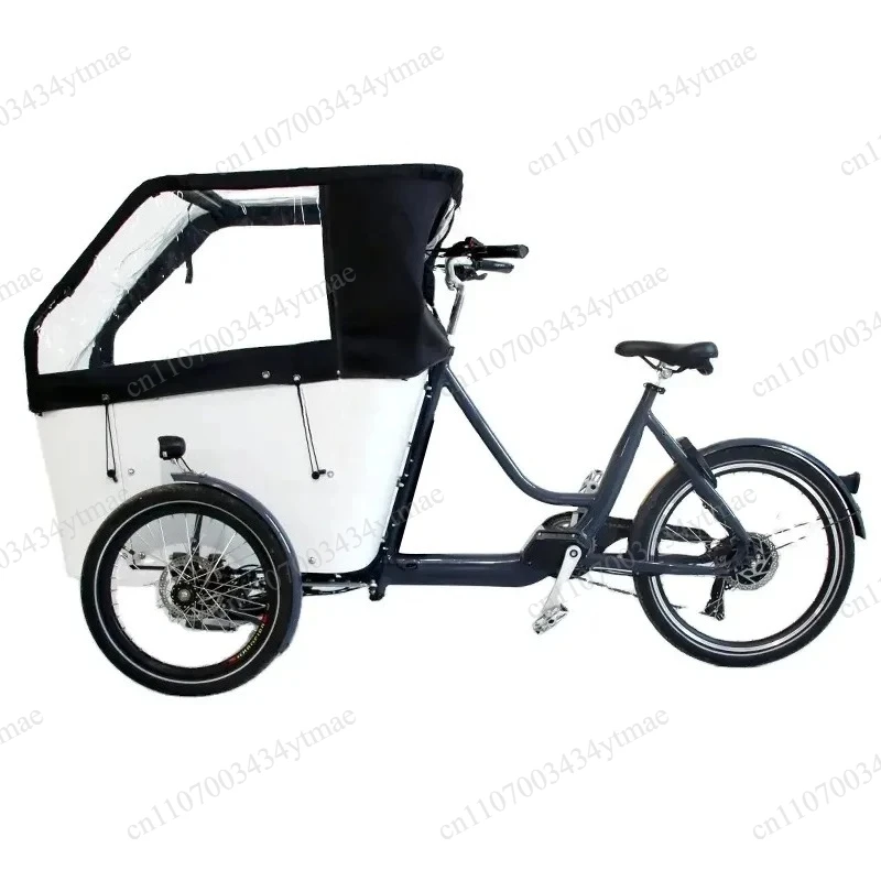 Electric Pedal Assist Cargo Tricycle Wooden Style Delivery Bike for Pet Kids Daily Use