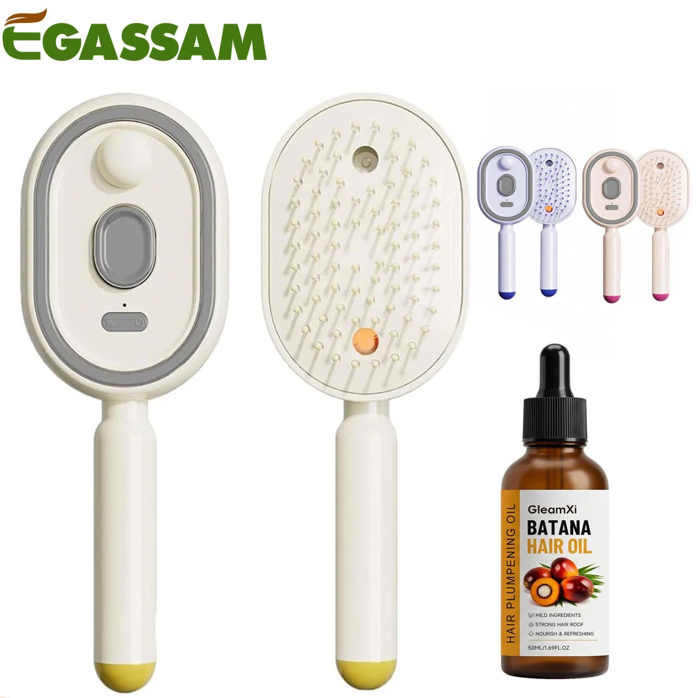 

Electric Spray & Massage Hair Brush, Electric Steaming Massage Hair Care Brush, Rechargeable Detangling Electric Steam Brushs