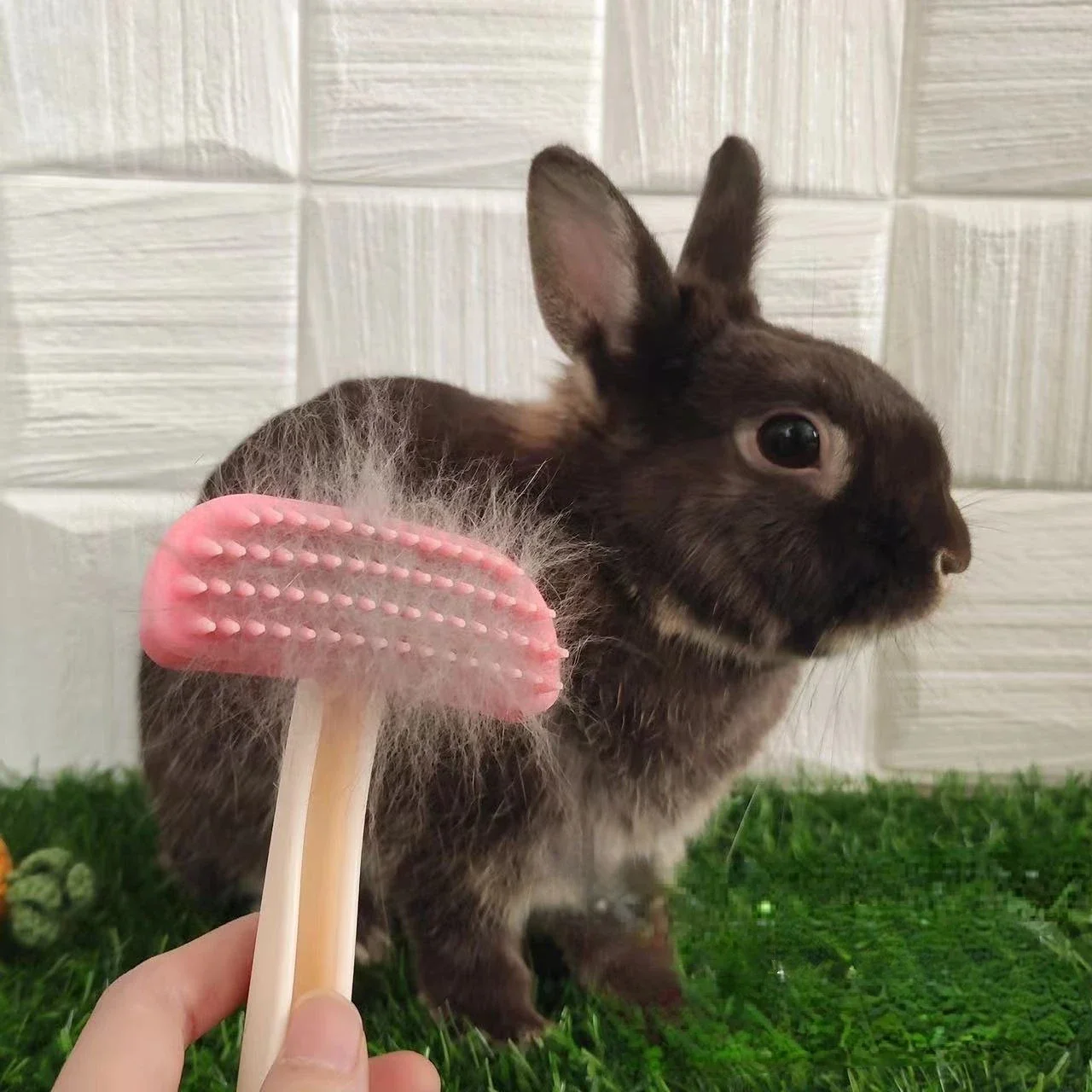 1pc Pet Rabbit Brush Cat Grooming Comb Silicone Fur Brush for Guinea Pig Chinchilla Cleaning Grooming Tool Rabbit Accessories