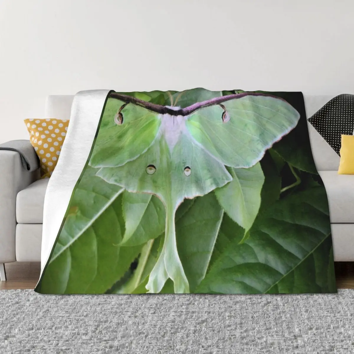 Luna Moth Throw Bla… - image