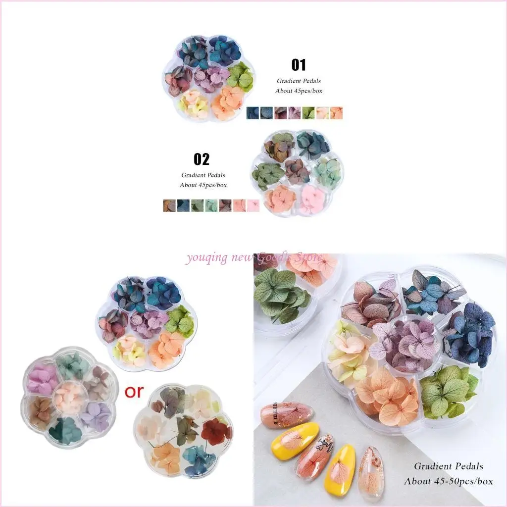 

57QA Natural Real Dried Pressed Flowers for Resin Molds Herbarium Flower for Pendant