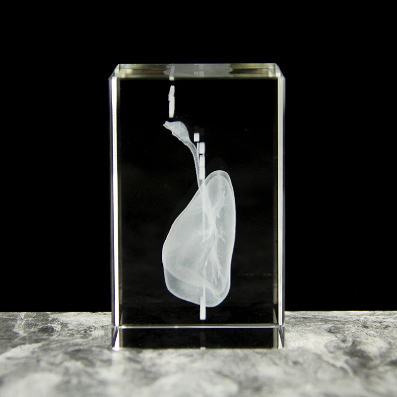 Original Crystal 3D Laser Engraved Lung Model Cube Anatomical Specimens Respiratory Medical Hospital Souvenir Gift Paperweight